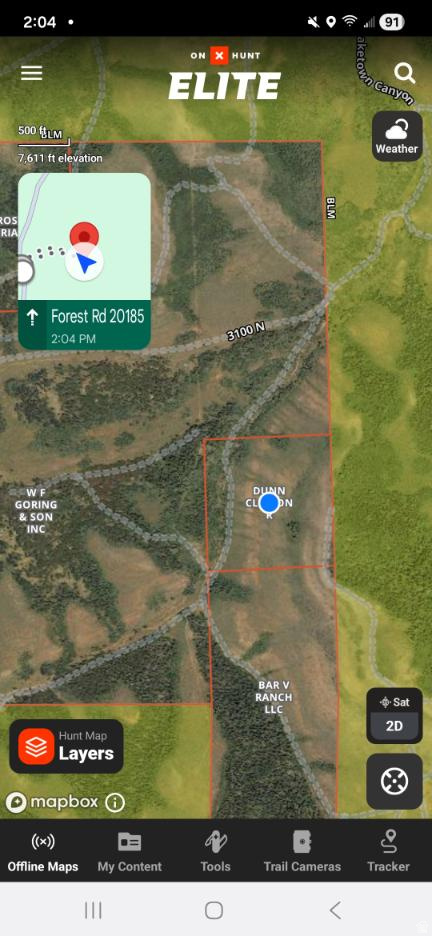 Main image without alt text