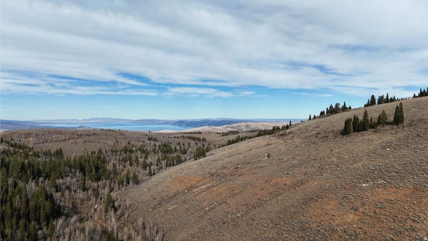 Escape to your very own 40 acres of pristine mountain property in Laketown, Utah, located in the heart of Rich County and less than an hour from Bear Lake. This world-class recreational property offers a rare combination of privacy, easy access, and breathtaking scenery. Covered in beautiful groves of aspen trees and bordered by vast stretches of BLM land, this is the kind of land people dream about - peaceful, private, and full of opportunity. The terrain provides stunning mountain views in every direction and the perfect setting for a cabin, camper, or private hunting retreat. Hunters will love this land for its abundance of deer, elk, and upland game. The mix of open meadows, aspen stands, and nearby water sources creates ideal wildlife habitat. Access is via Mill Canyon Road. This is a Forest service road.  Center Coordinates: 41.71854, -111.38849 NW Corner: 41.720333, -111.391001 NE Corner: 41.720485, -111.386156 SE Corner: 41.716757, -111.386003 SW Corner: 41.716577, -111.390844