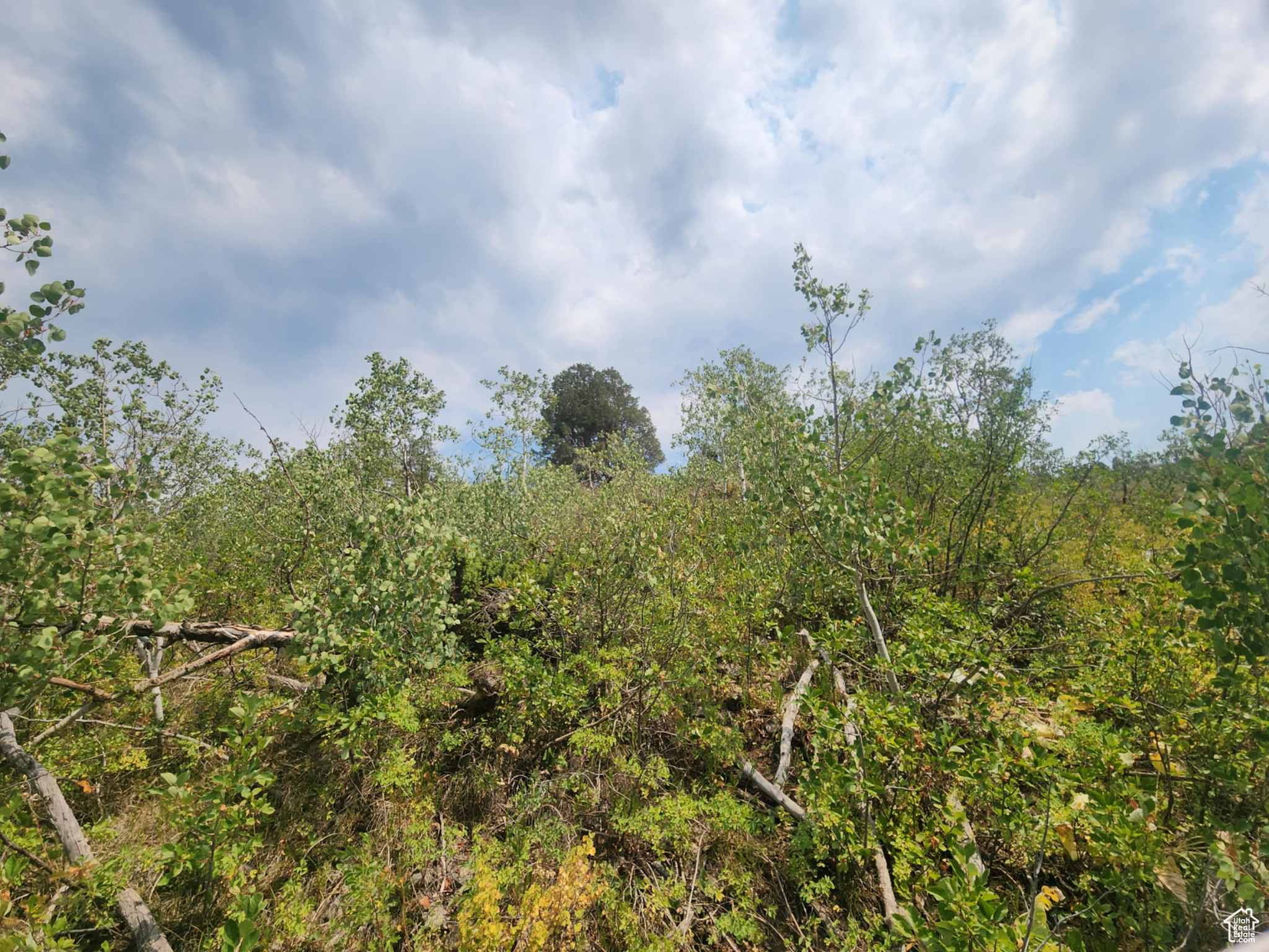 SAMAK HILLS ADDITION - Land