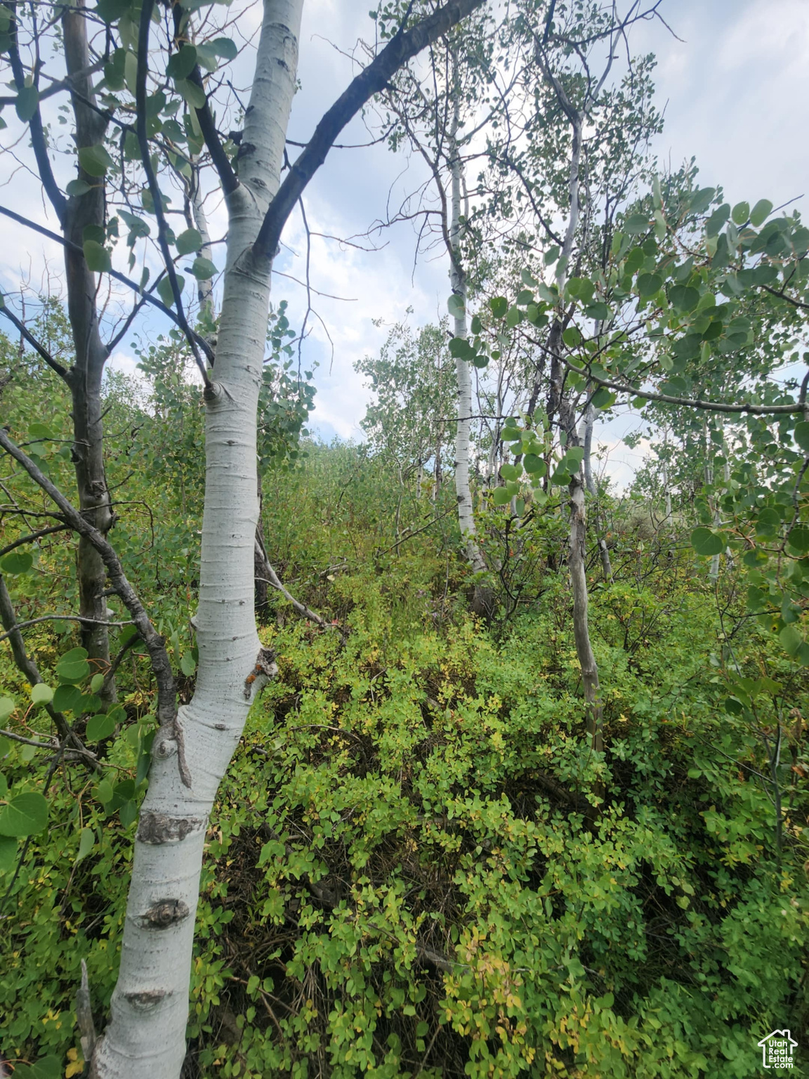 SAMAK HILLS ADDITION - Land