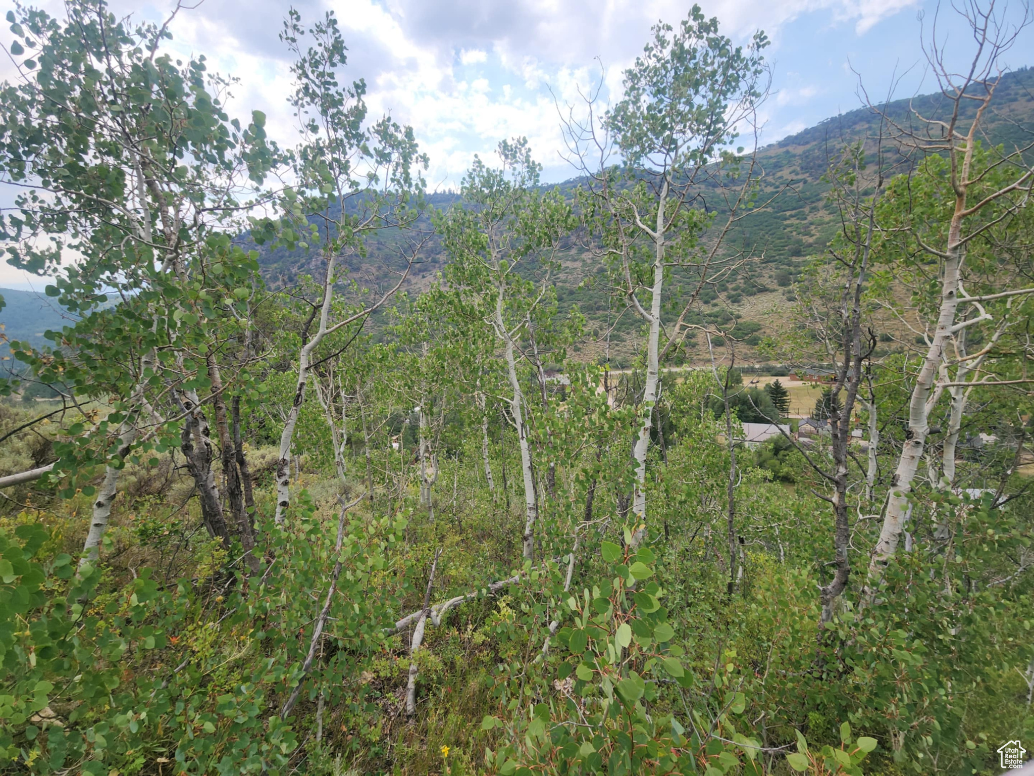 SAMAK HILLS ADDITION - Land