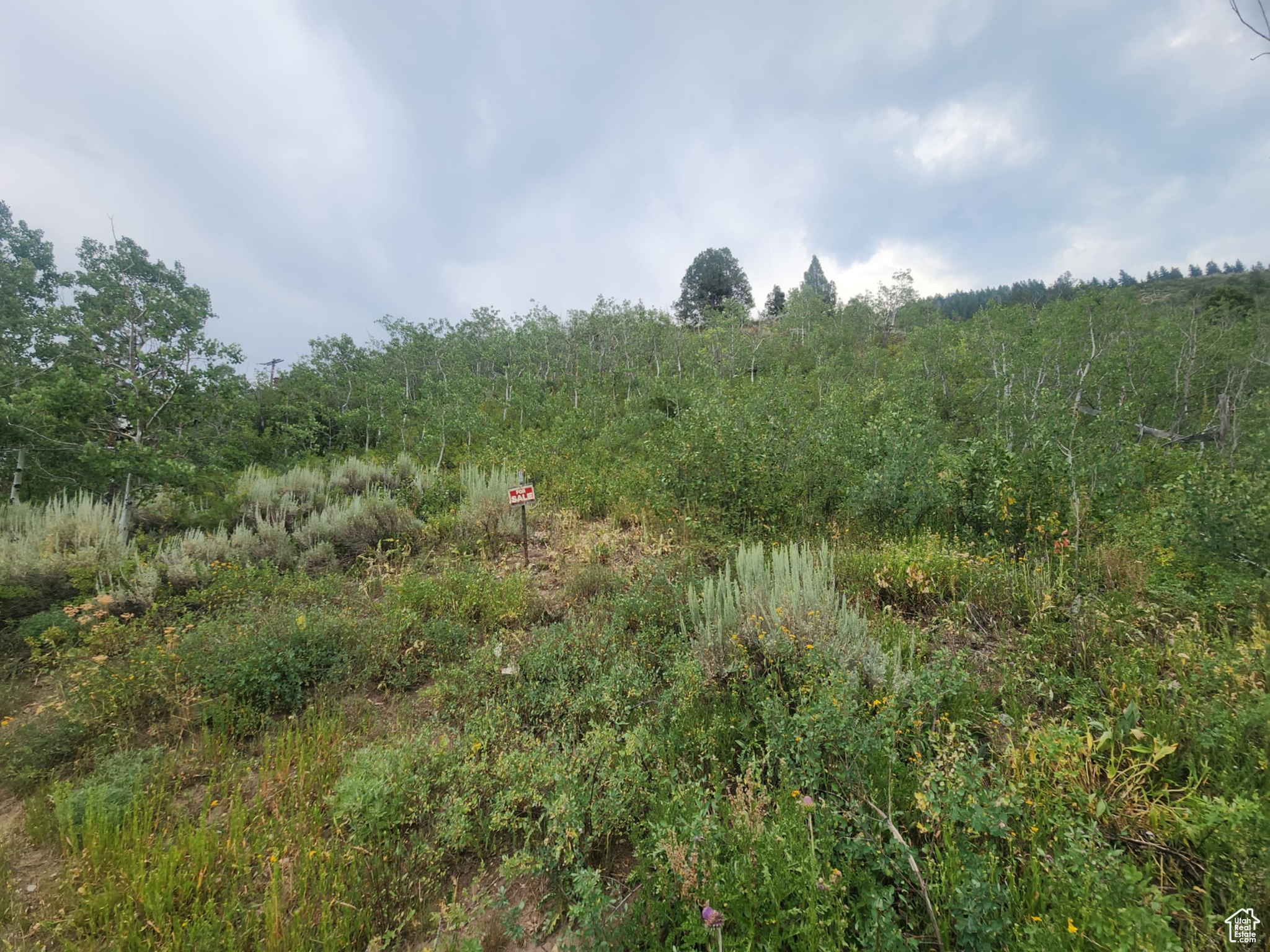 SAMAK HILLS ADDITION - Land