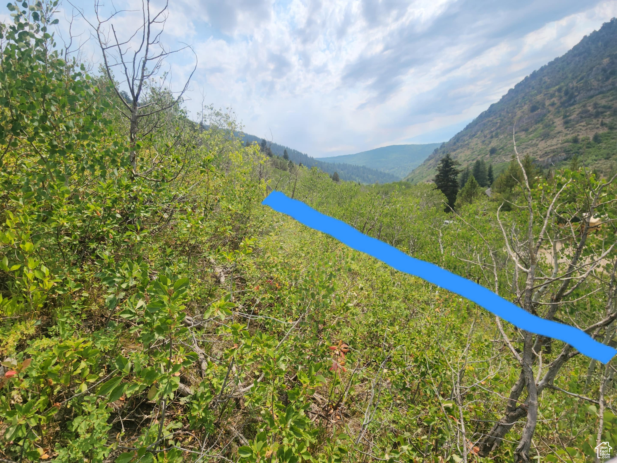SAMAK HILLS ADDITION - Land