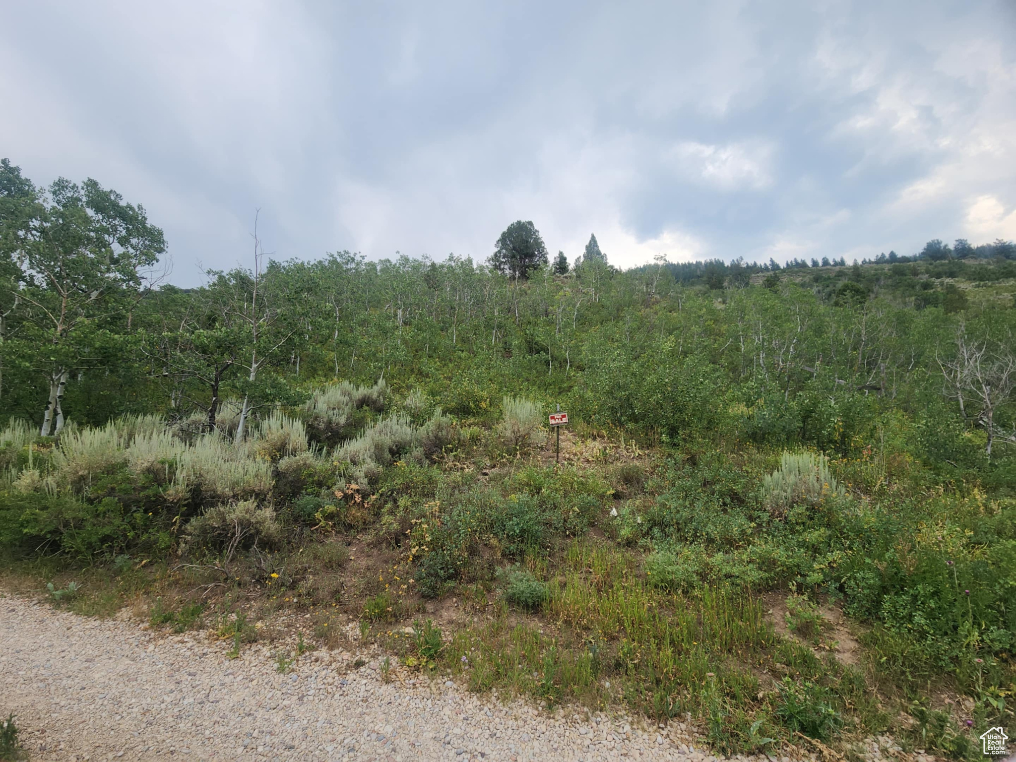 SAMAK HILLS ADDITION - Land