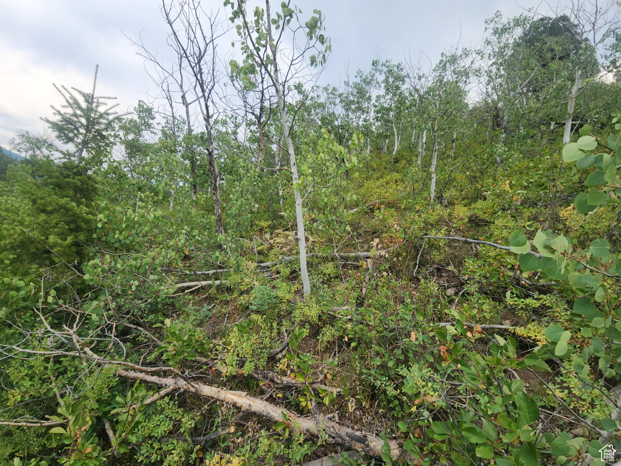 SAMAK HILLS ADDITION - Land