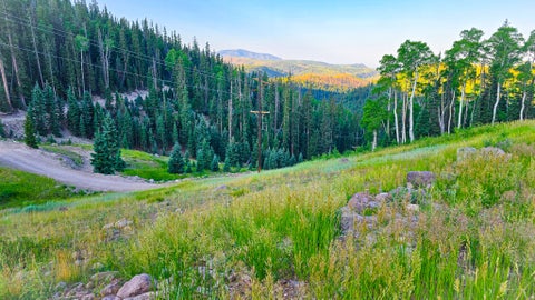 Vacant Land For Sale - #29<br/> Beaver, UT 84713