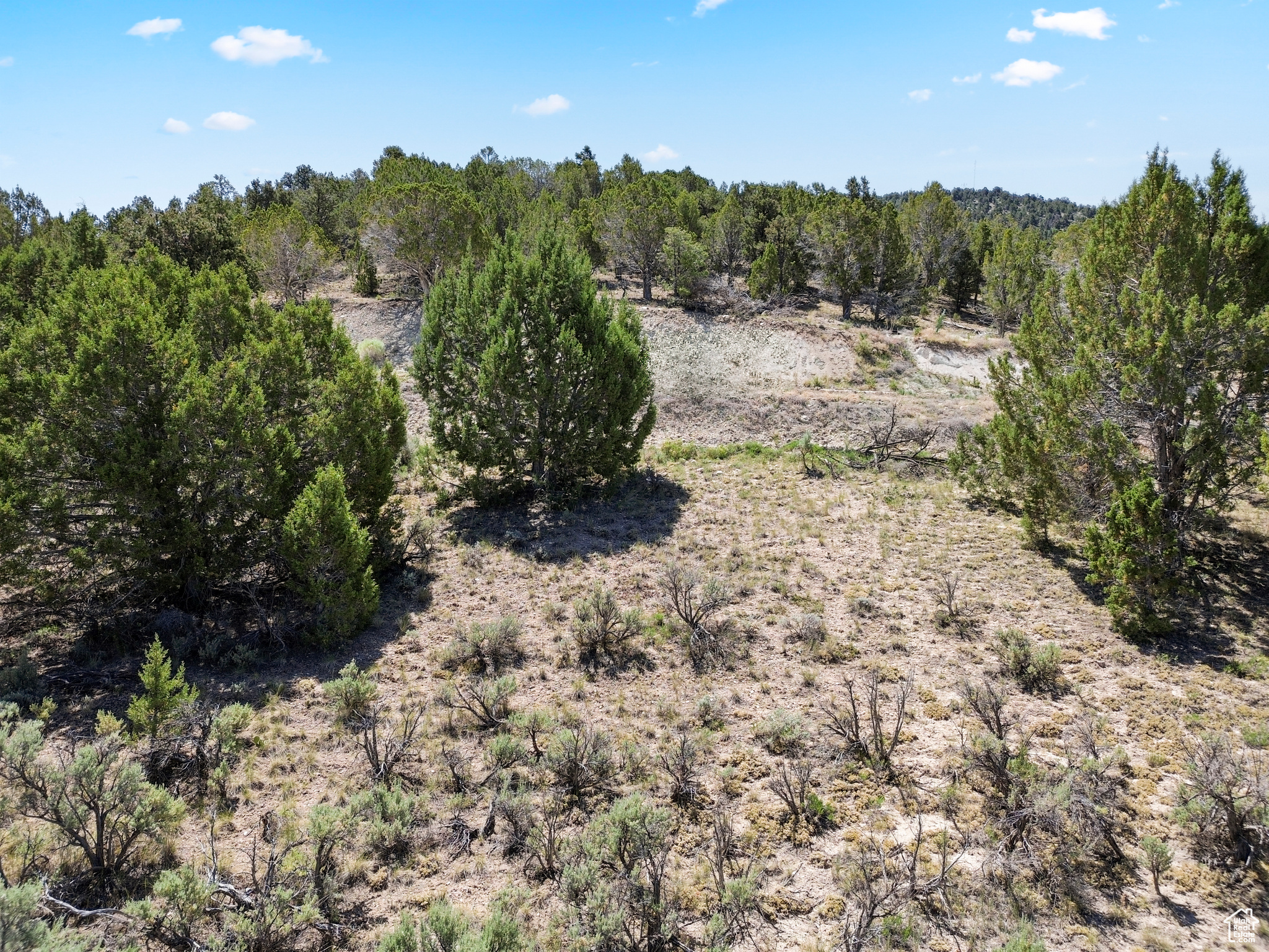 BLACKHAWK MOUNTAIN ESTATES - Land