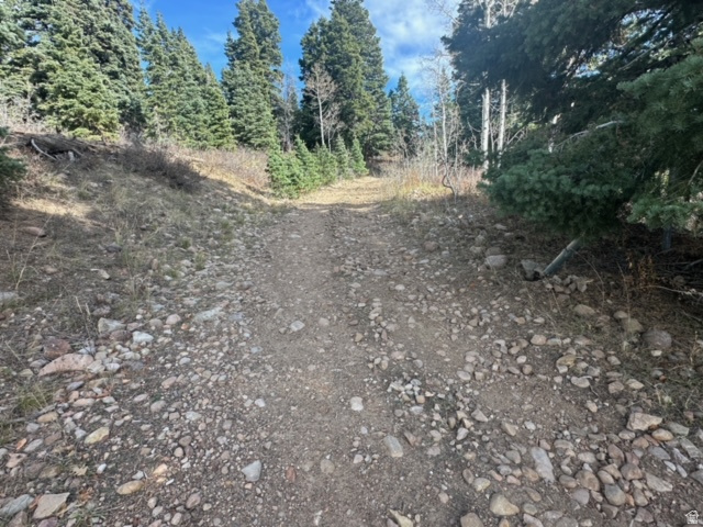 SS # SOUTH OF I-80 - Land