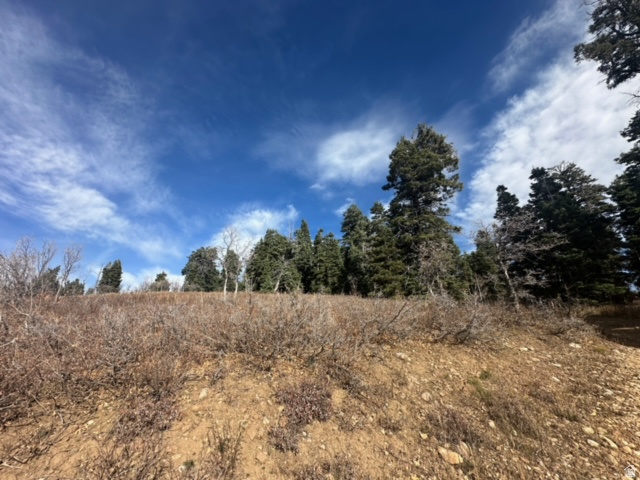 SS # SOUTH OF I-80 - Land