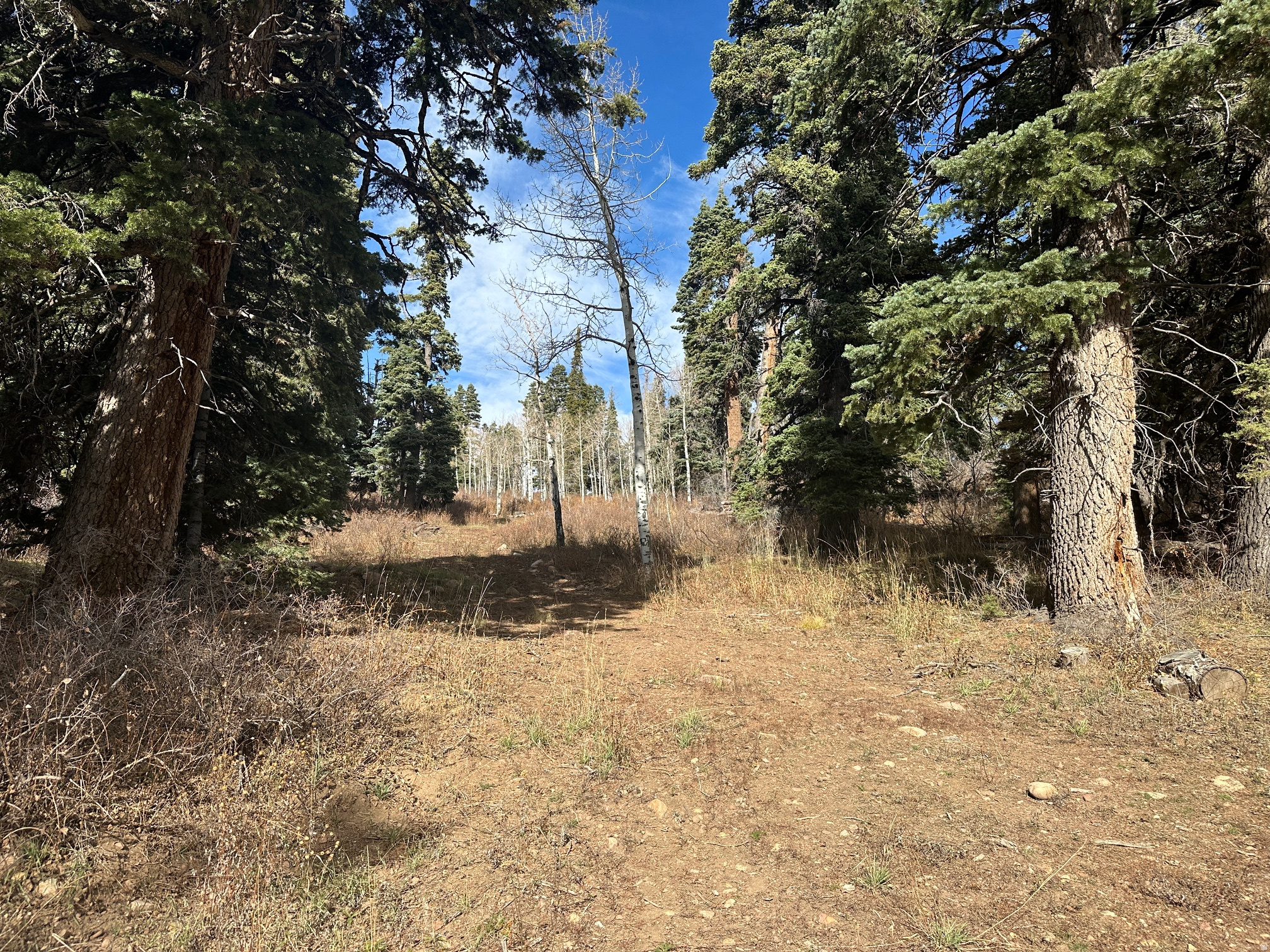 SS # SOUTH OF I-80 - Land