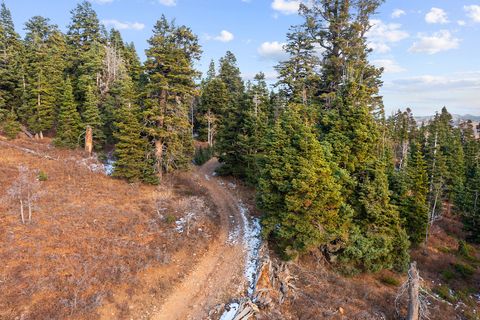 Vacant Land For Sale - 1974 Elk Rd #140<br/> Summit County, Coalville, UT 84017