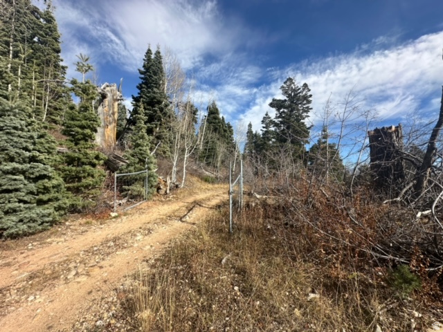 SS # SOUTH OF I-80 - Land