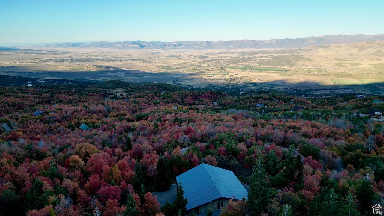 THE HOLLOWS - Residential