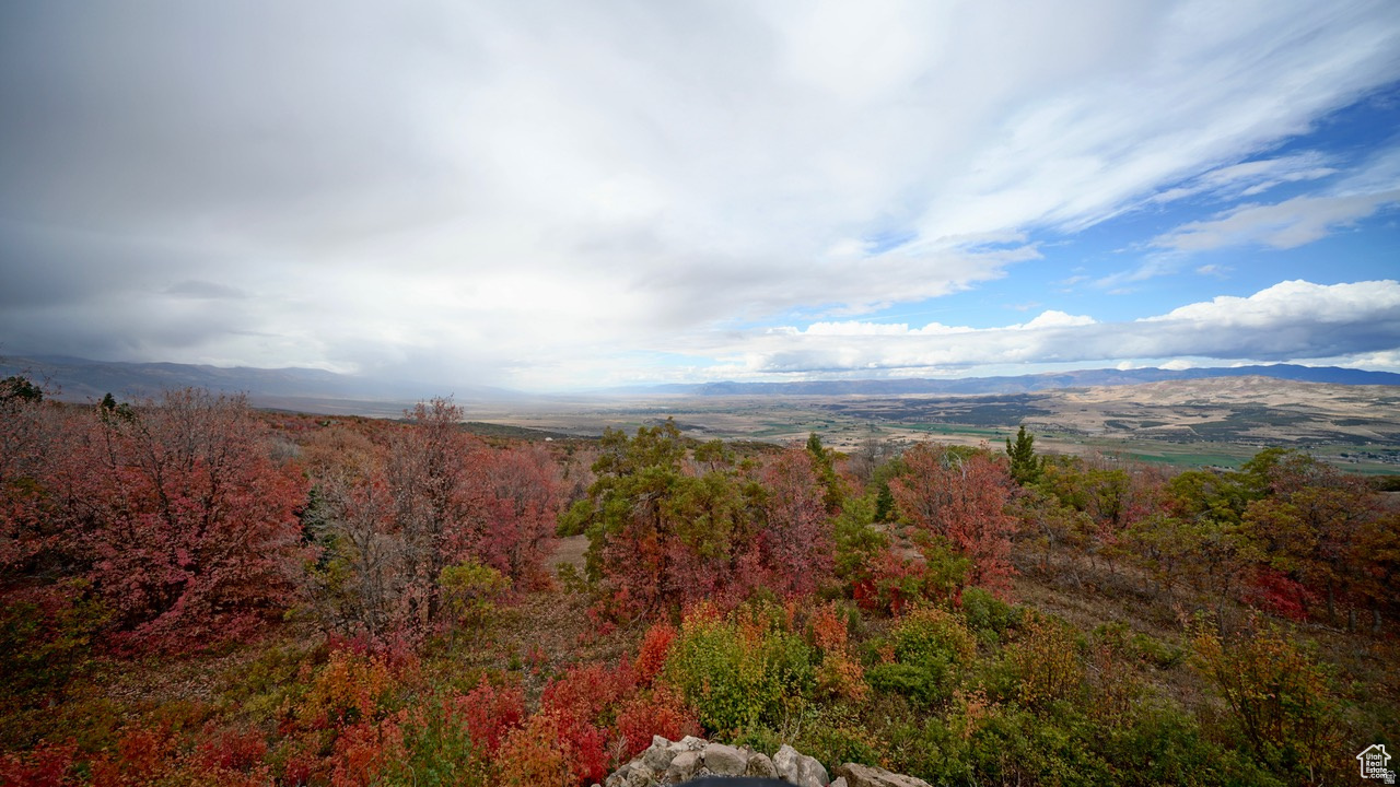 THE HOLLOWS - Residential