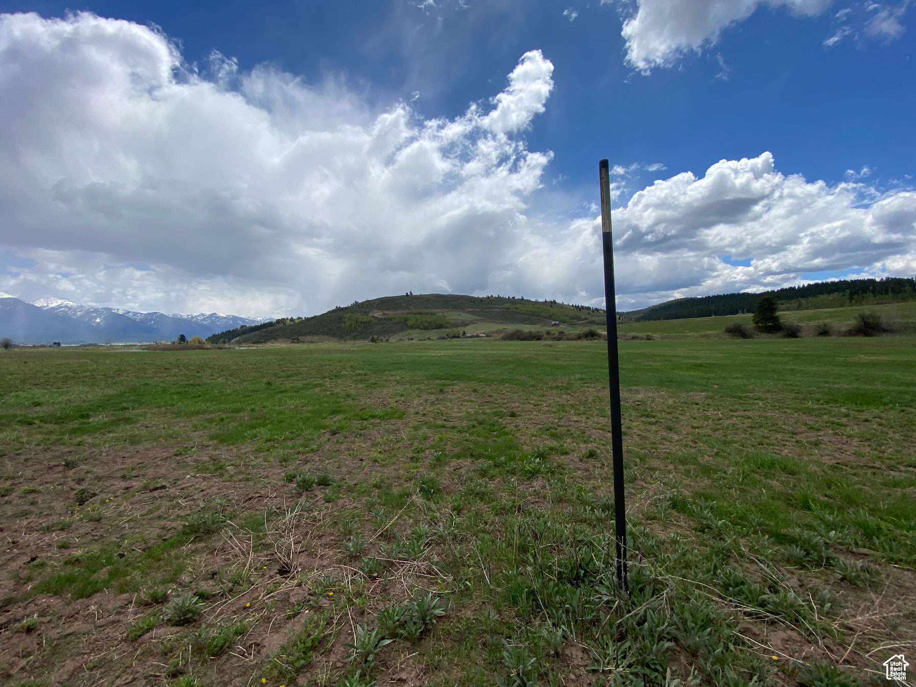 GROUSE CREEK RANCH - Land