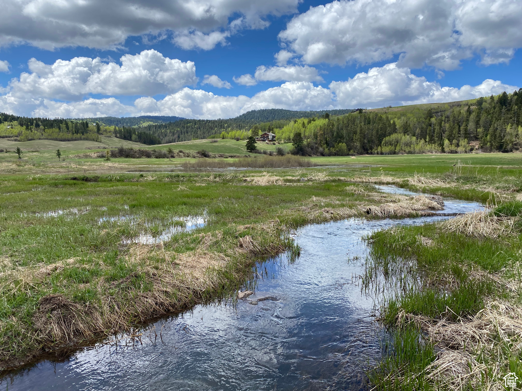 GROUSE CREEK RANCH - Land