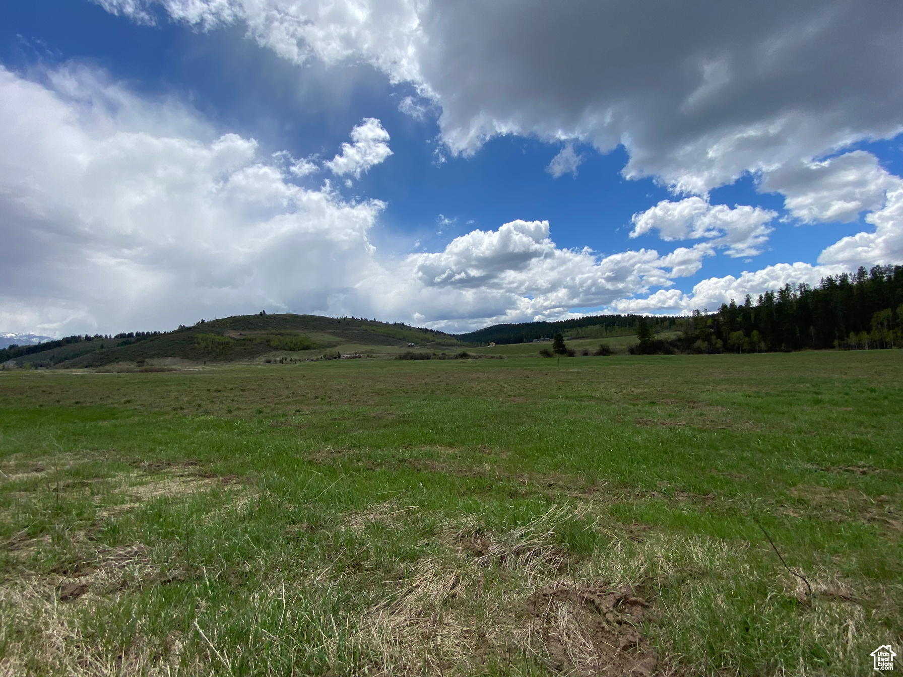 GROUSE CREEK RANCH - Land