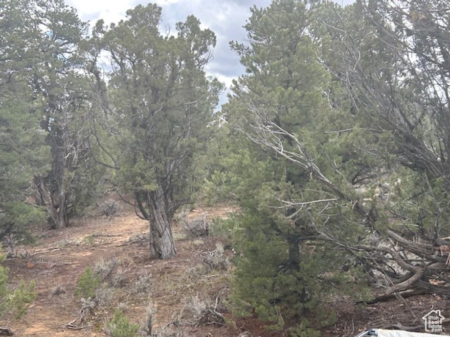 Water Well! This 5 acre parcel in the fruitland area has a water well, and power is on the corner. Its approx.  mile north of hwy 40 with good access. Tall pinion-pines and junipers. Located just 2 hrs from the Wasatch front, this property is ready for your home or cabin.