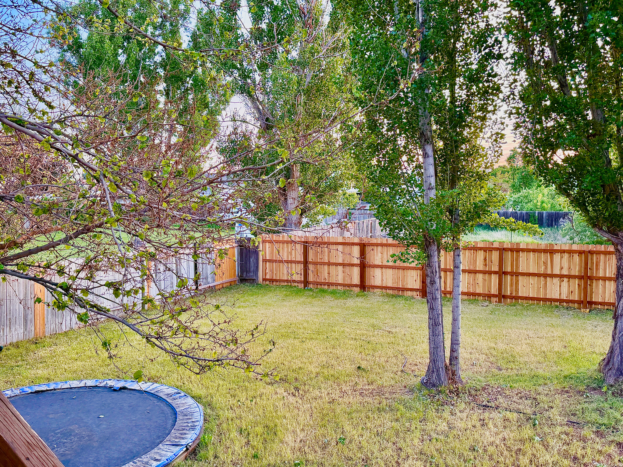 HALLIDAY SUBDIVISION - Residential
