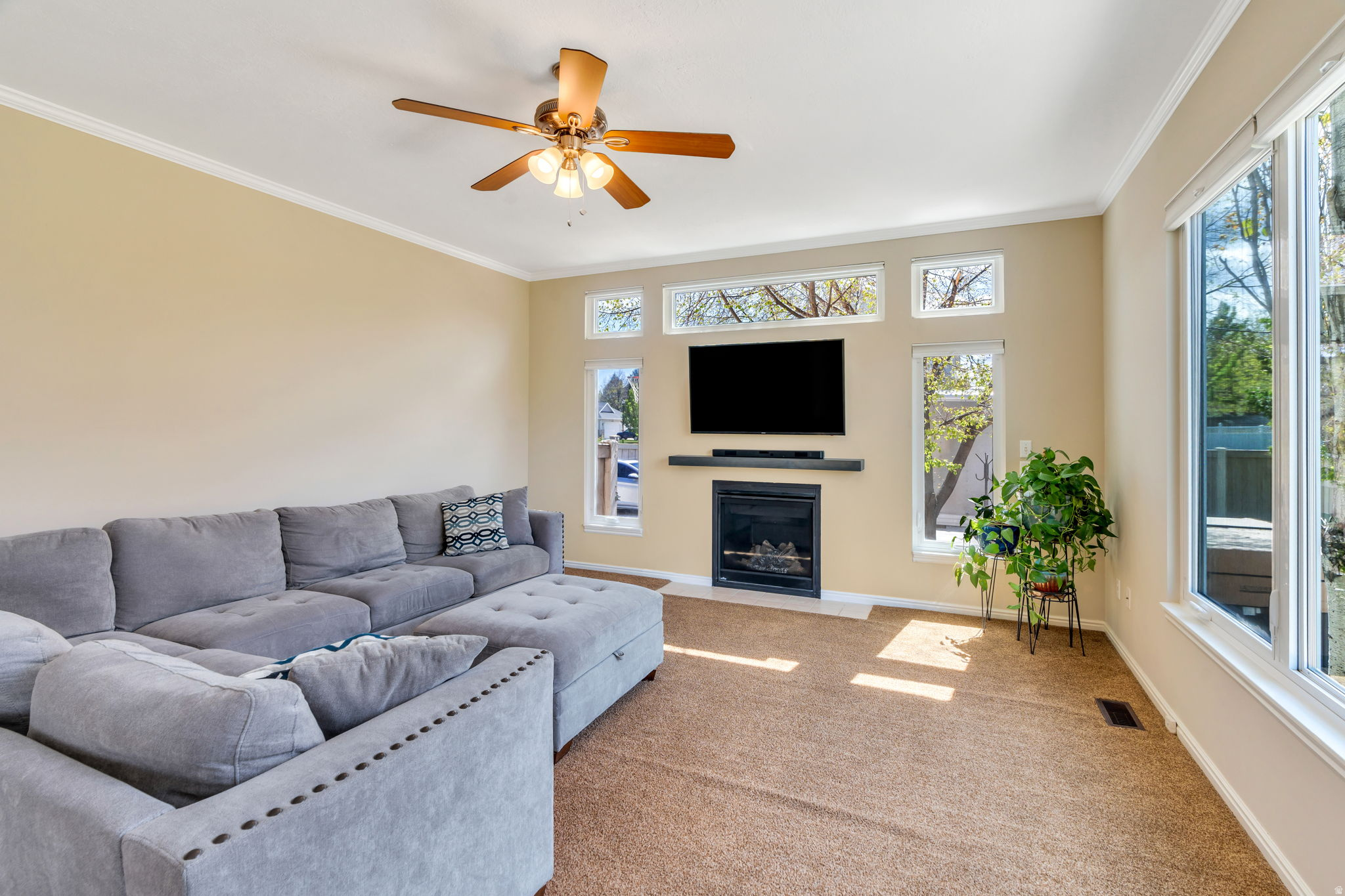 CAMERON PARK - Residential