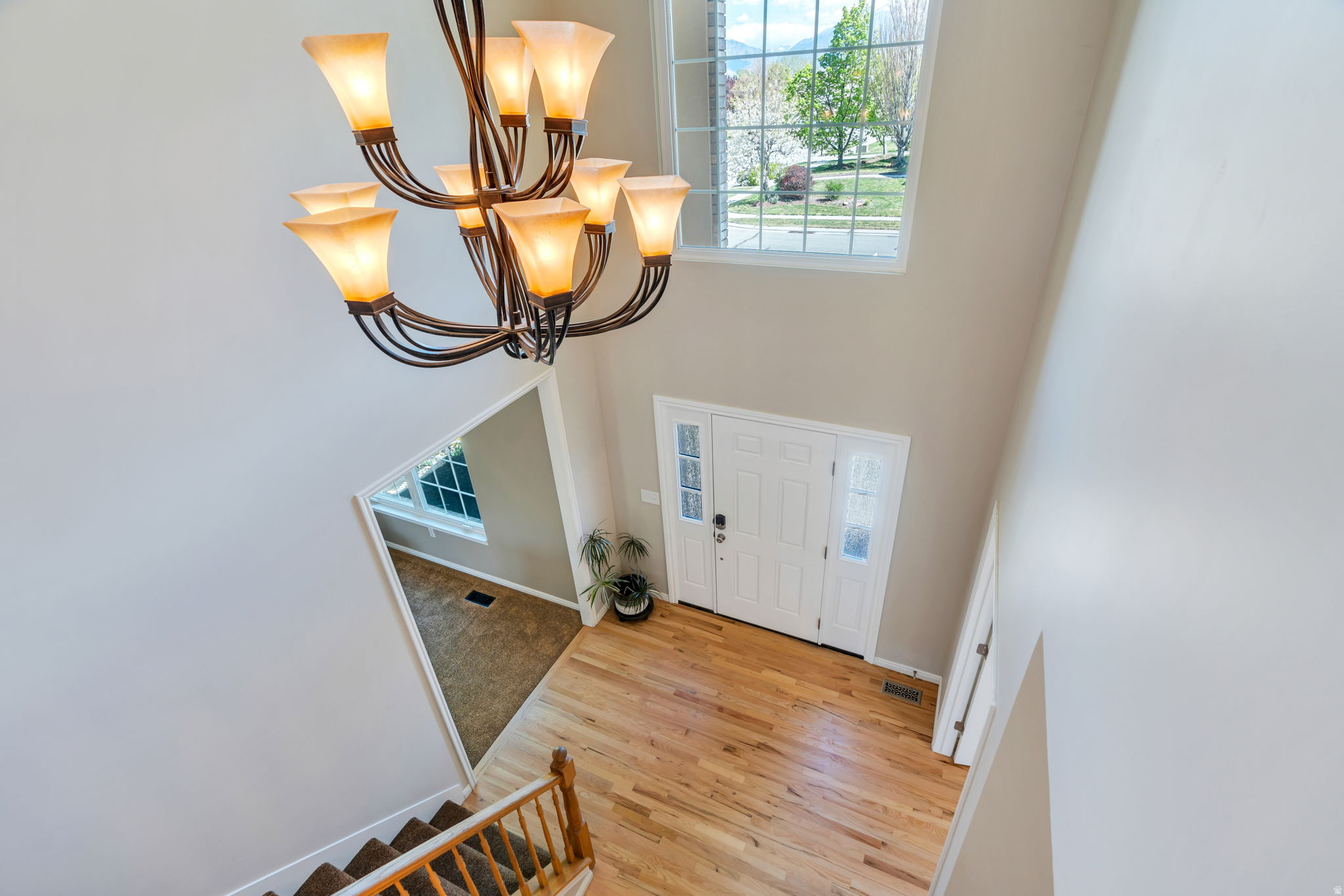 CAMERON PARK - Residential