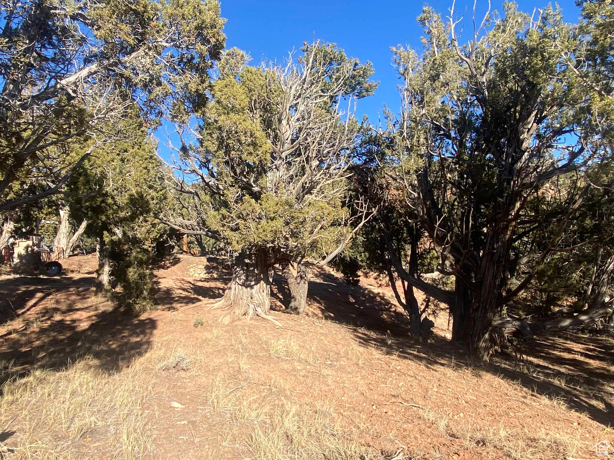 BANDANNA RANCH - Residential
