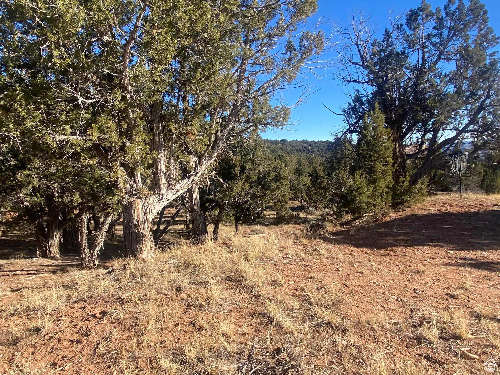 BANDANNA RANCH - Residential