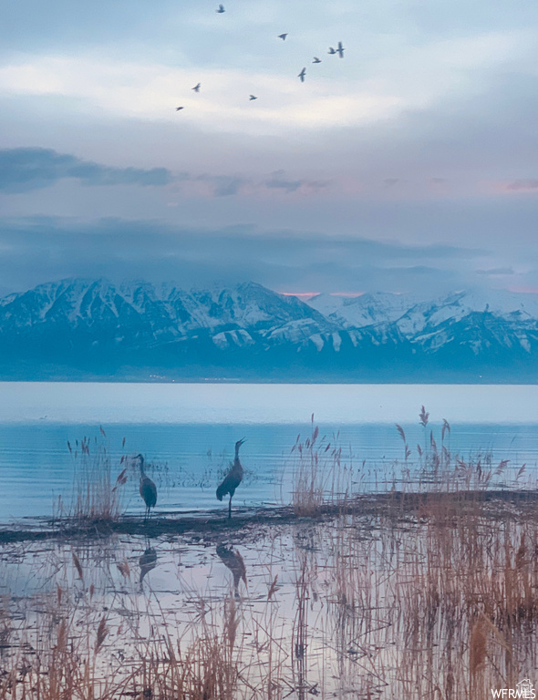 SARATOGA SPRINGS NO - Land