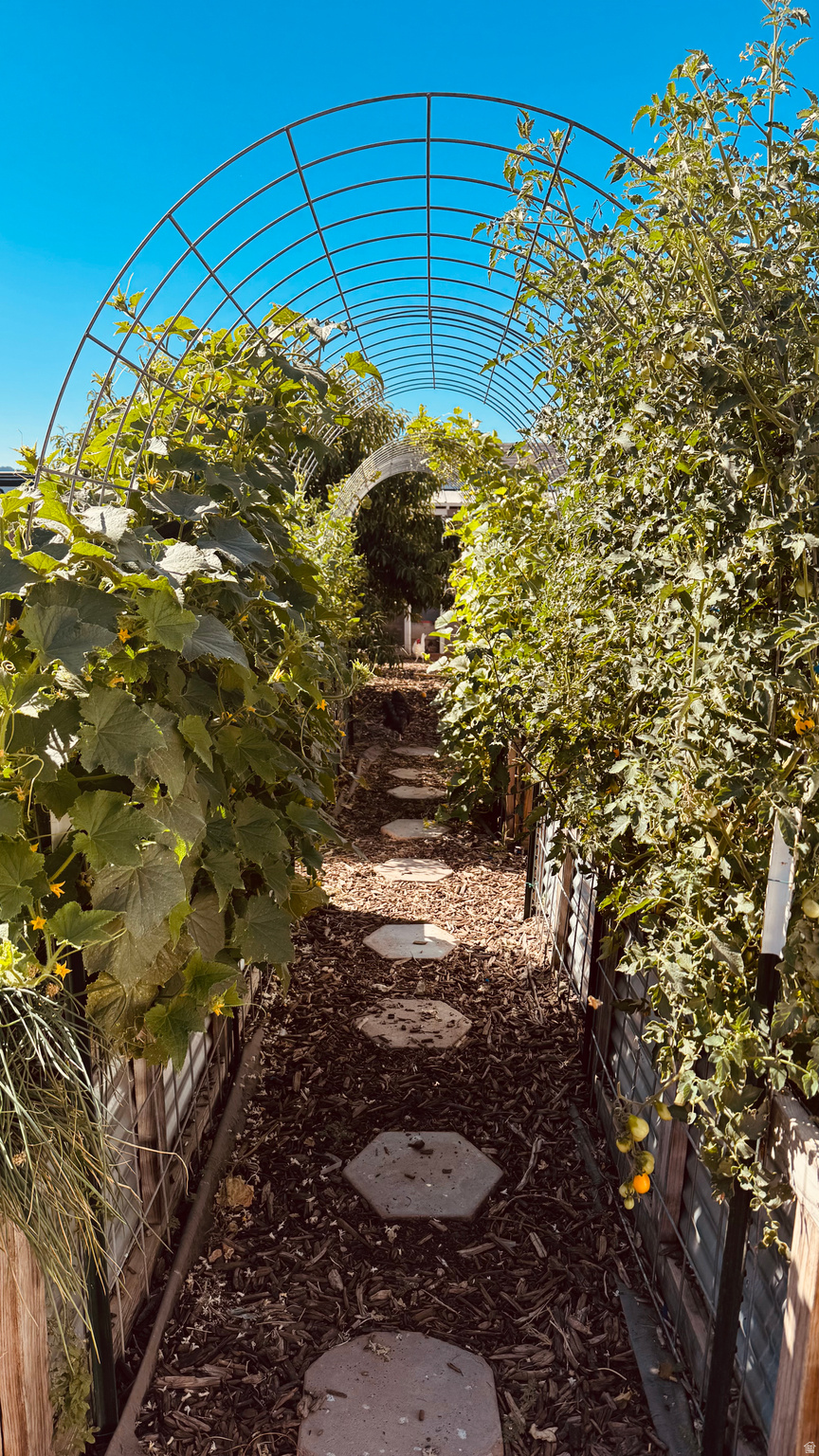 ORCHARD CREEK - Residential