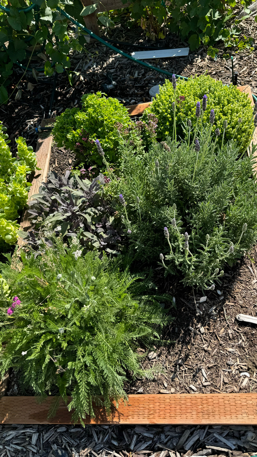 ORCHARD CREEK - Residential