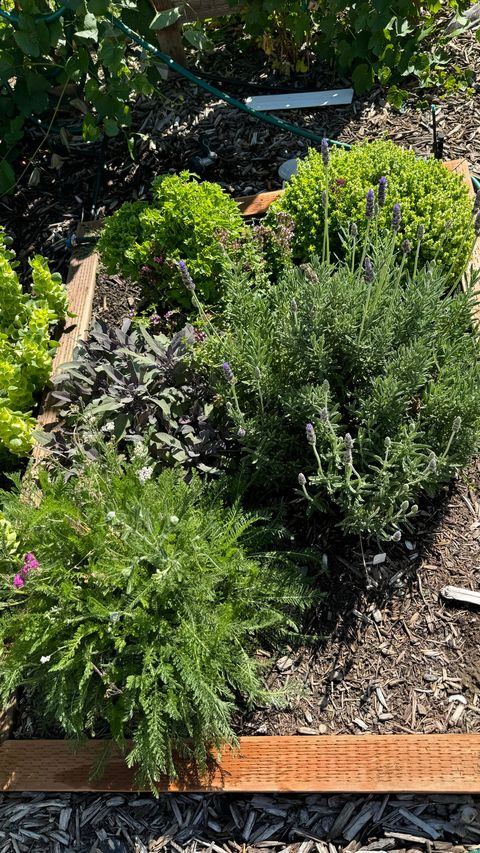 Tiny photo for 3056 S 1450 W, Perry, UT 84302 (MLS # 2144227)