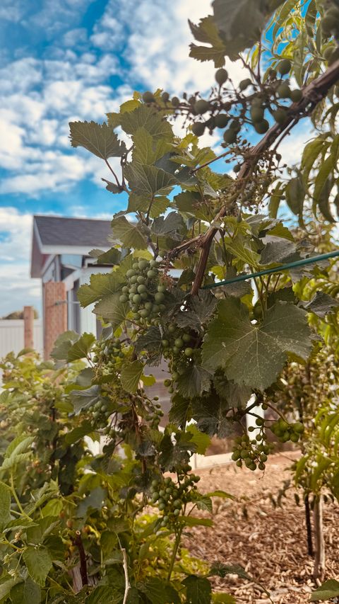 Tiny photo for 3056 S 1450 W, Perry, UT 84302 (MLS # 2144227)