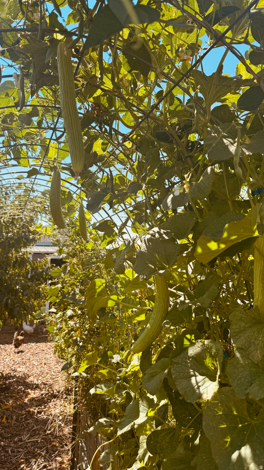 ORCHARD CREEK - Residential