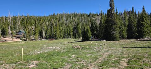 Vacant Land For Sale - 39 S Quill Rd #21<br/> Brian Head, UT 84719