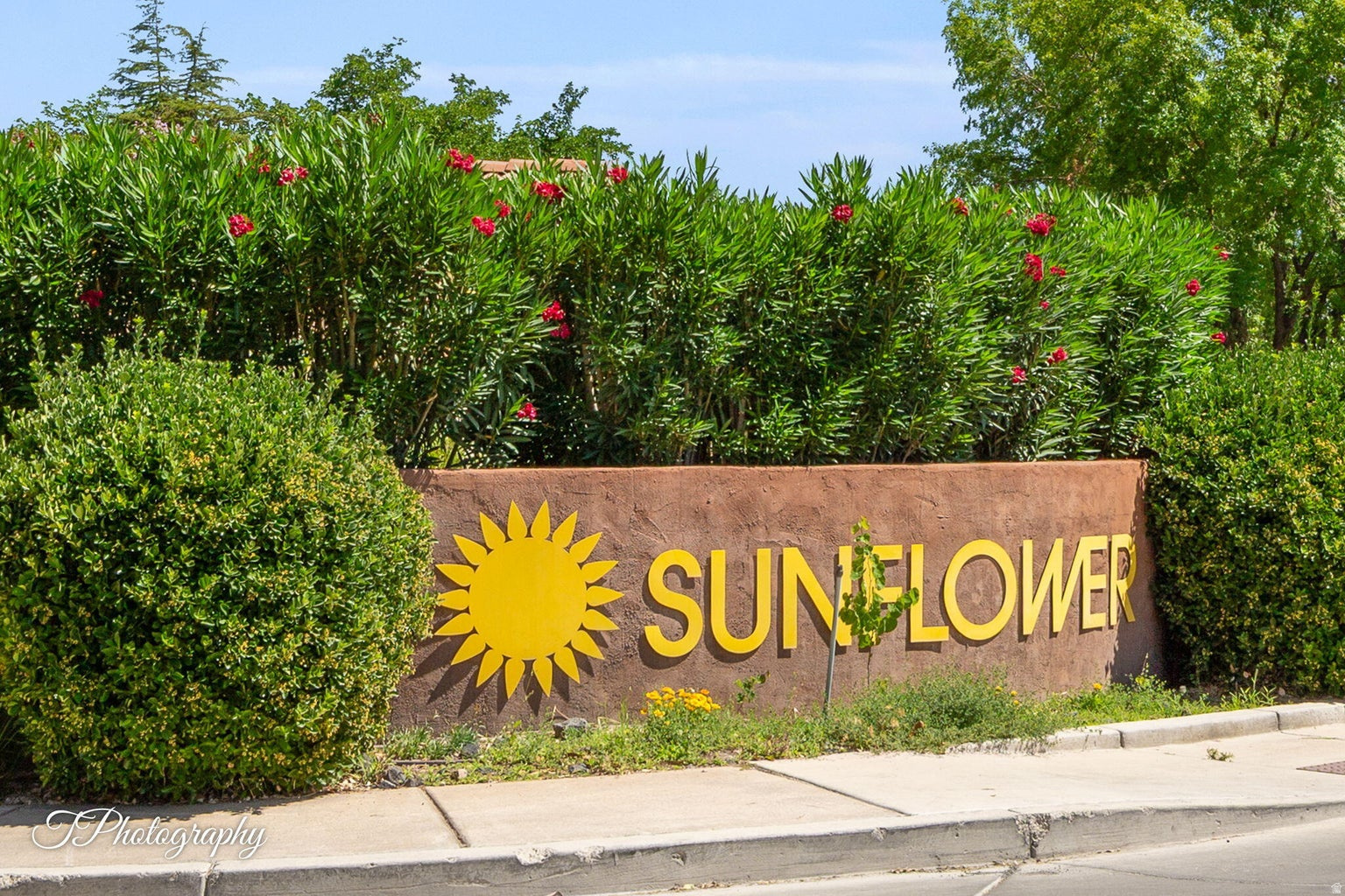 SUNFLOWER DEVELOPMENT 1 AMD - Residential