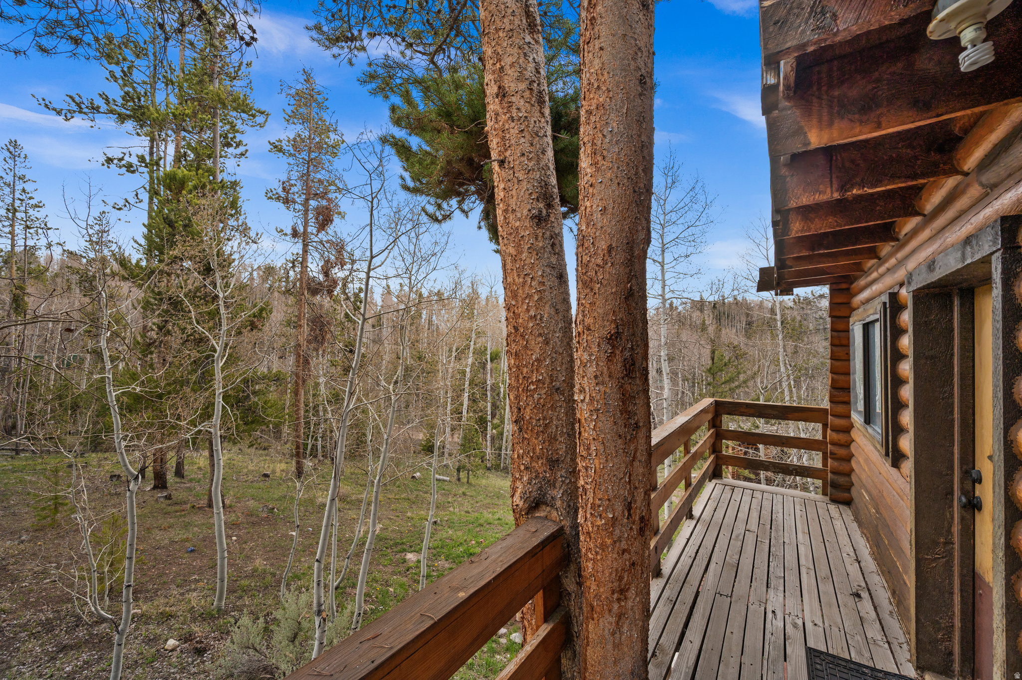 WILDERNESS ACRES - Land