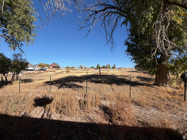 DAILEY MINOR - Residential