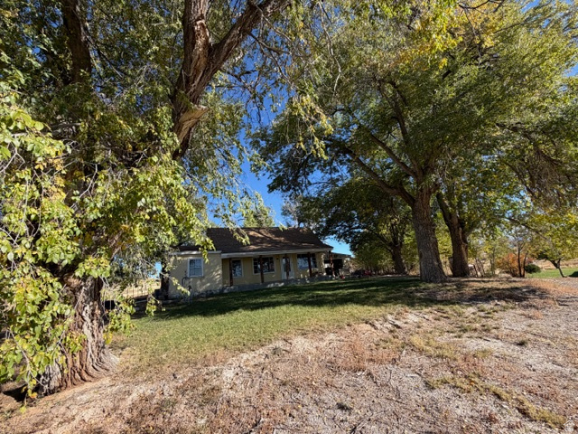 DAILEY MINOR - Residential