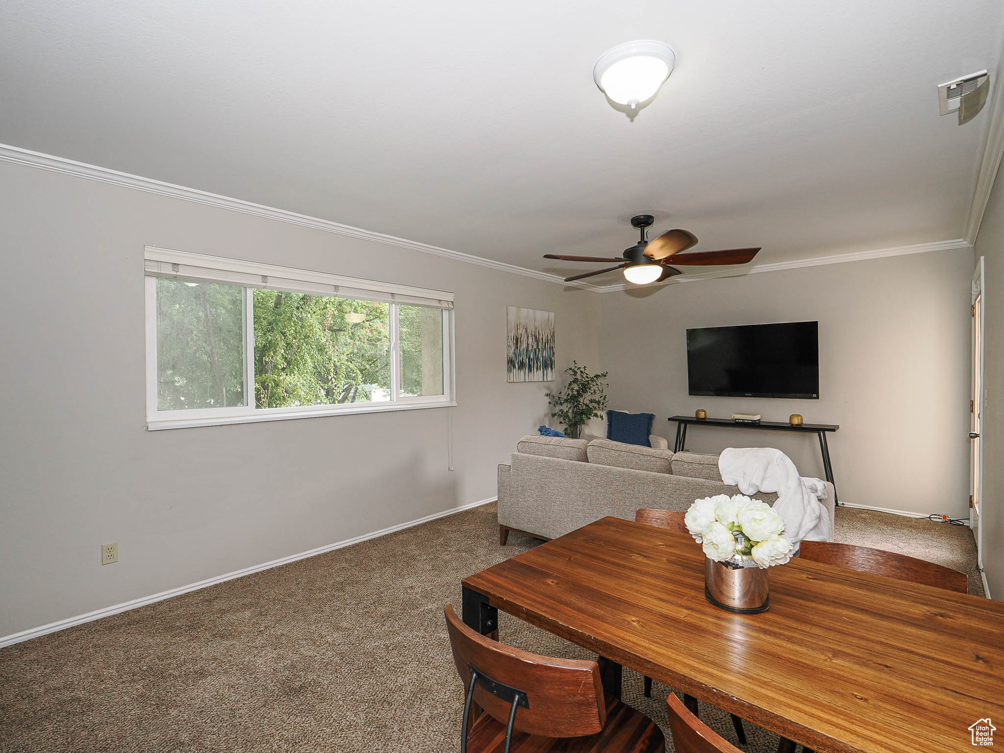 COUNTRY WOOD ESTATES - Residential