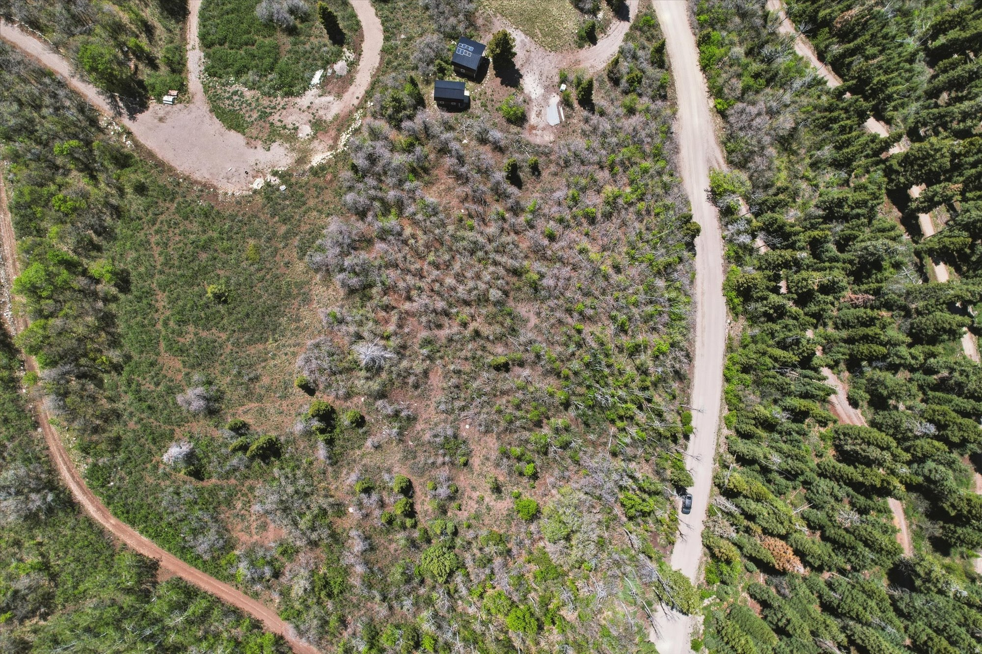 SKYLINE MOUNTAIN RESORT - Land