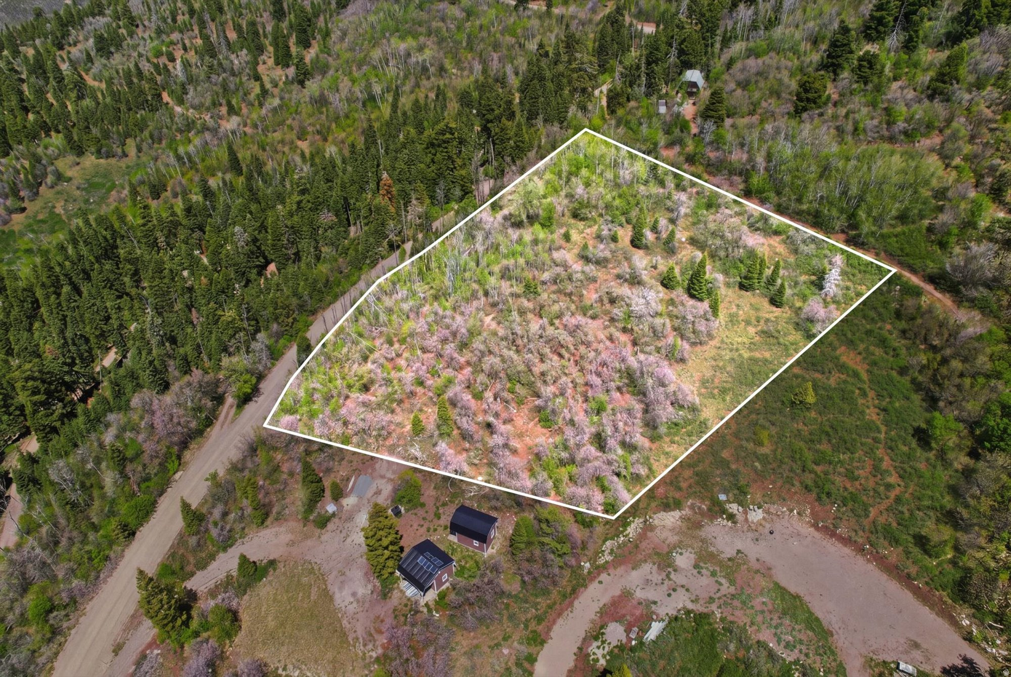 SKYLINE MOUNTAIN RESORT - Land