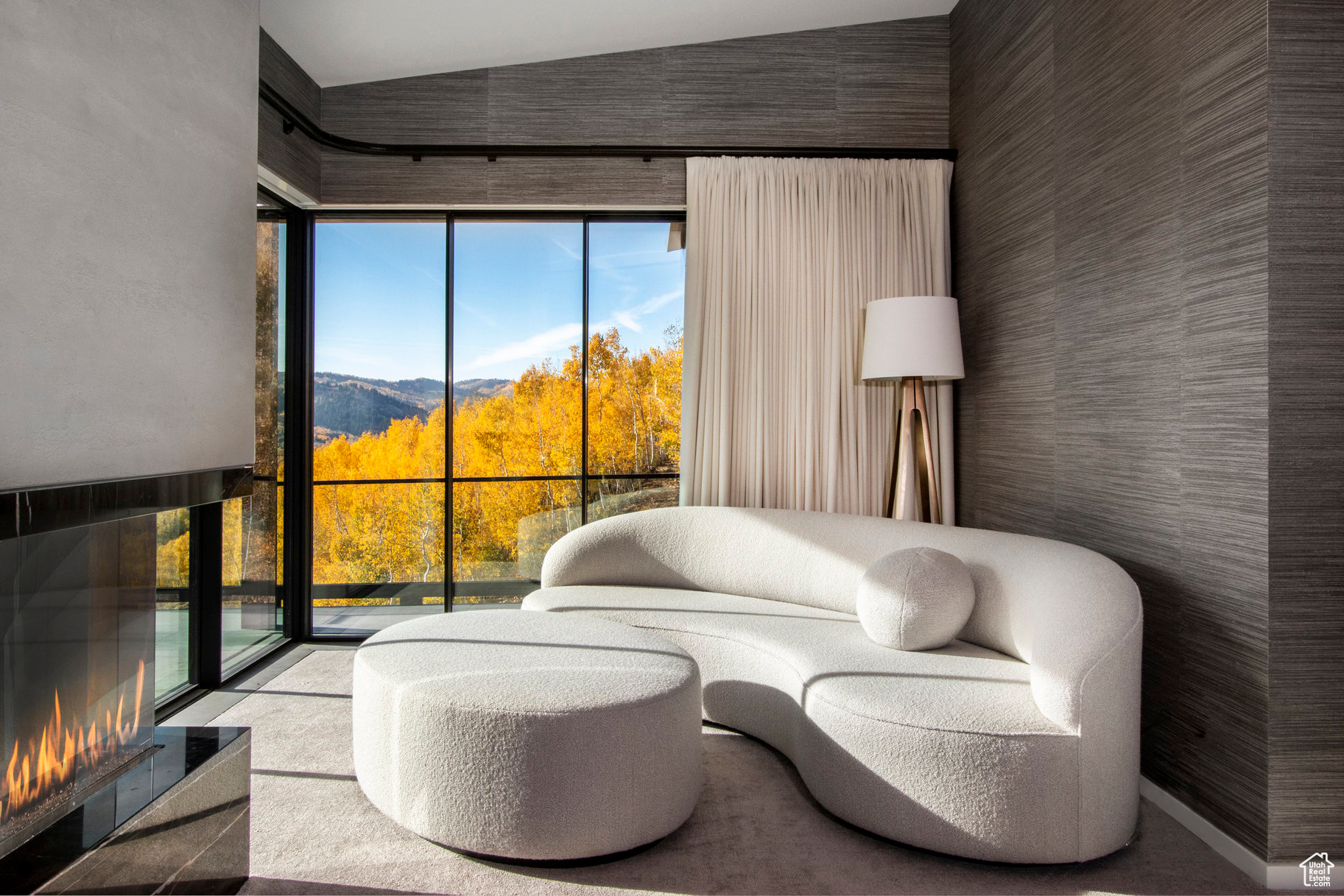 COLONY AT WHITE PINE CANYON - Residential