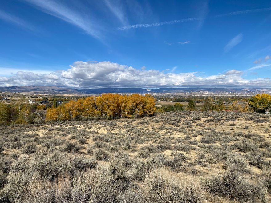 Amazing views....Oh the possibilities!  Gas, power and water available.  2 acres of the 11.54 parcel subject to  being subdivided off at closing. Lot to be recorded upon closing and assigned new tax id and address. Buyer to verify all information.