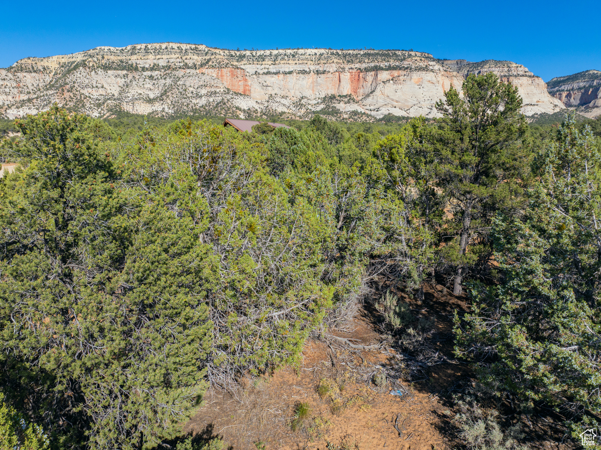 QUARTER CIRCLE H RANCH - Land
