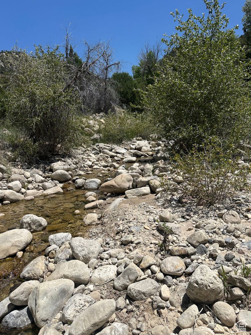 This 40 acre property sits at the mouth of Ephraim Canyon. Through the gated entrance you will find the perfect building lot, RV/Camping Getaway with all year access! From the sounds and views of this property you would never guess you're only five minutes away from town! This property has a private road that gives you direct access to the Manti-La Sal National Forest right from your lot. Enjoy ATV riding. Hunting, fishing, snowmobiling, and rock climbing nearby. Not to mention relaxing by the creek that runs through the South end of the property. Power is on property! Property will come with one acre foot Make this land your own! More pictures to come!