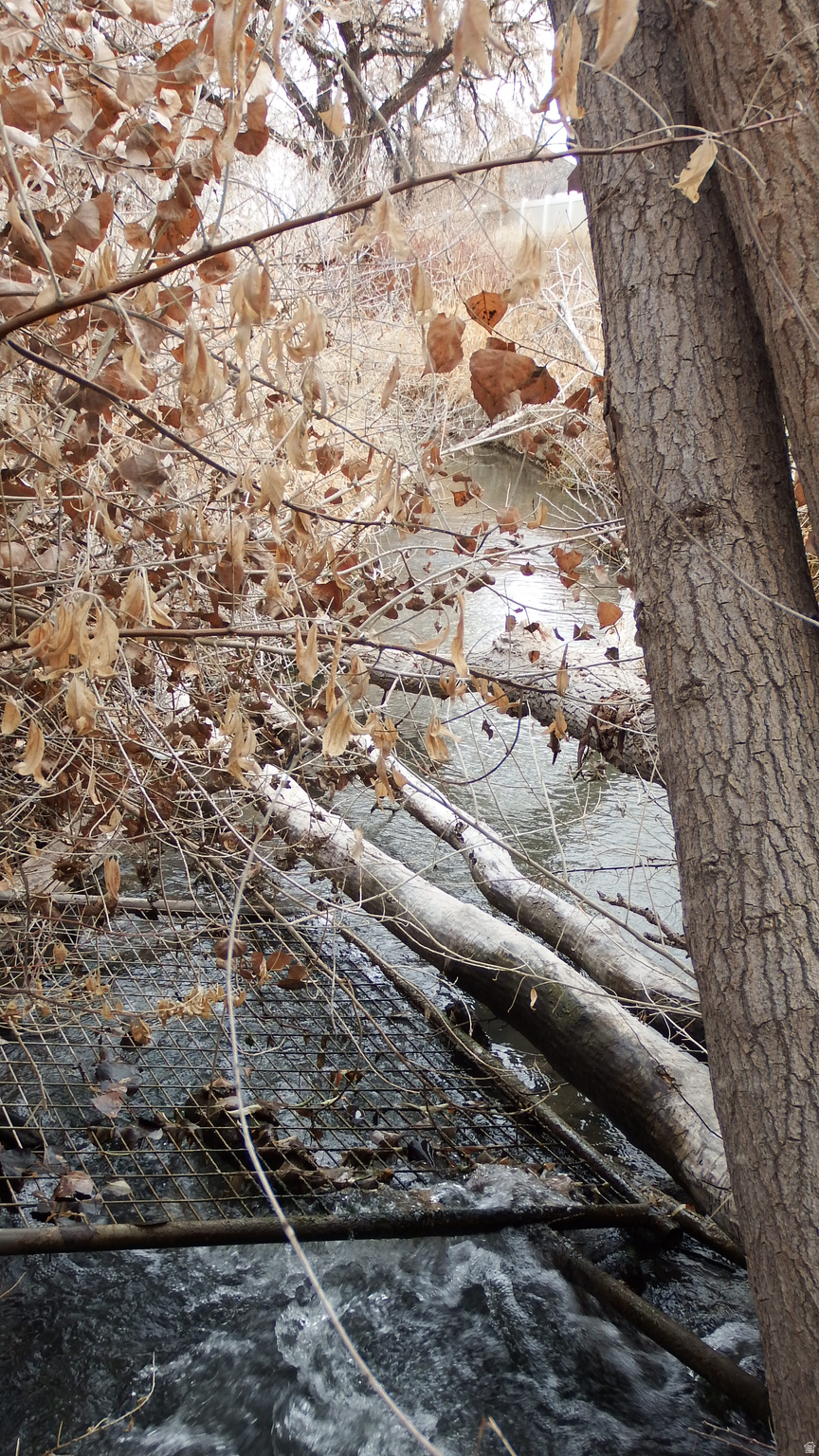 MARCELLA MEADOWS - Land