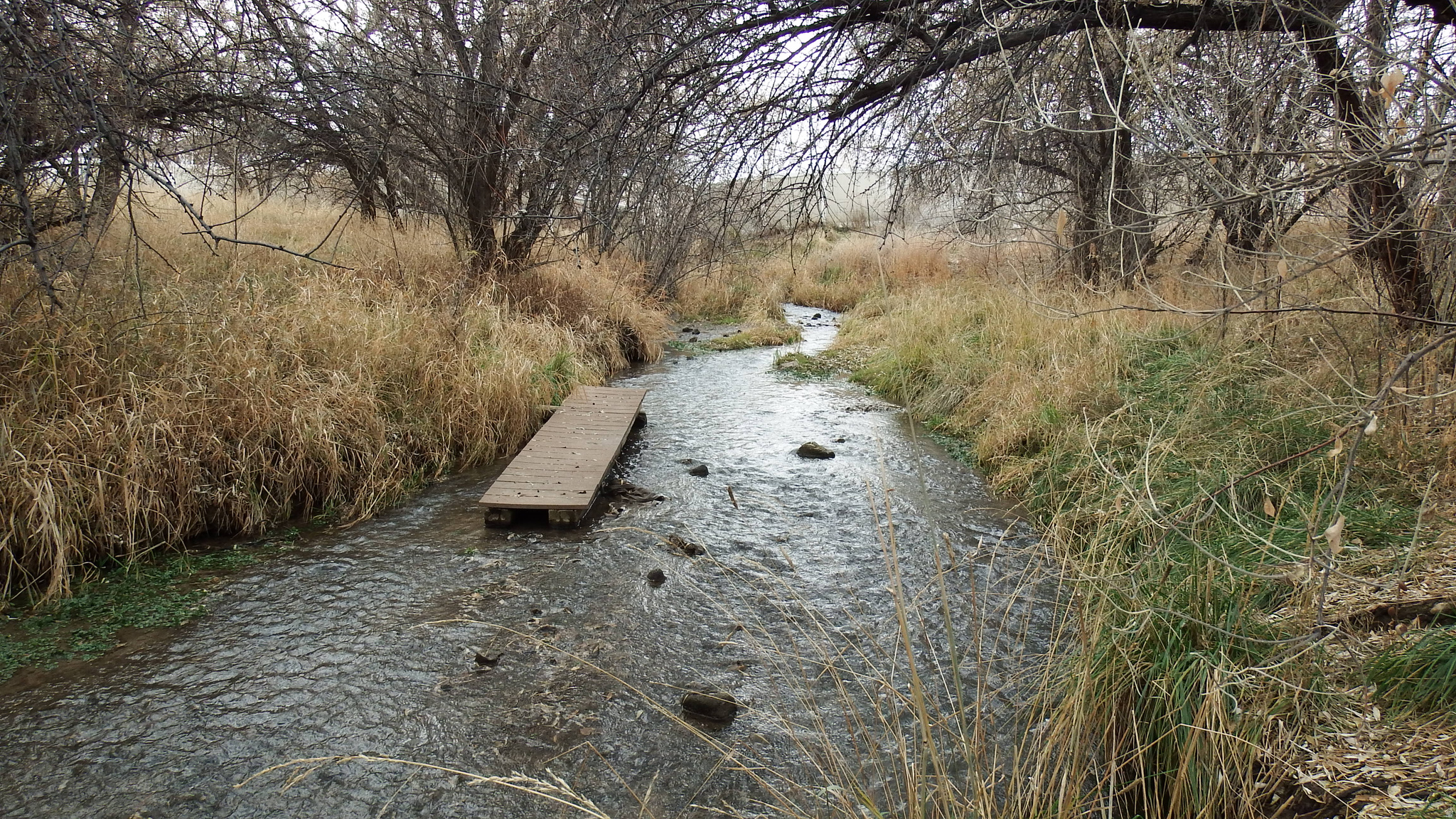 MARCELLA MEADOWS - Land