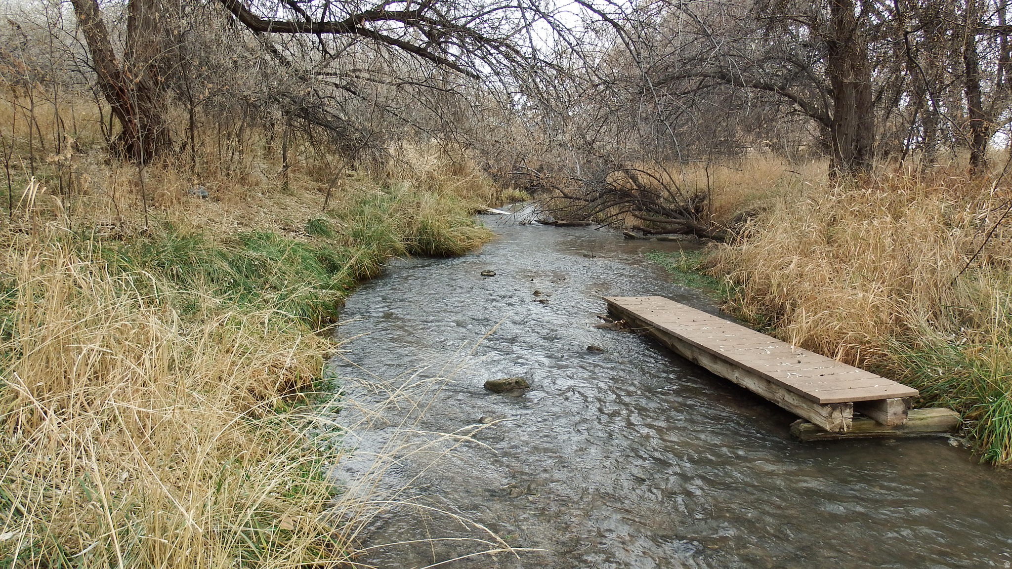 MARCELLA MEADOWS - Land