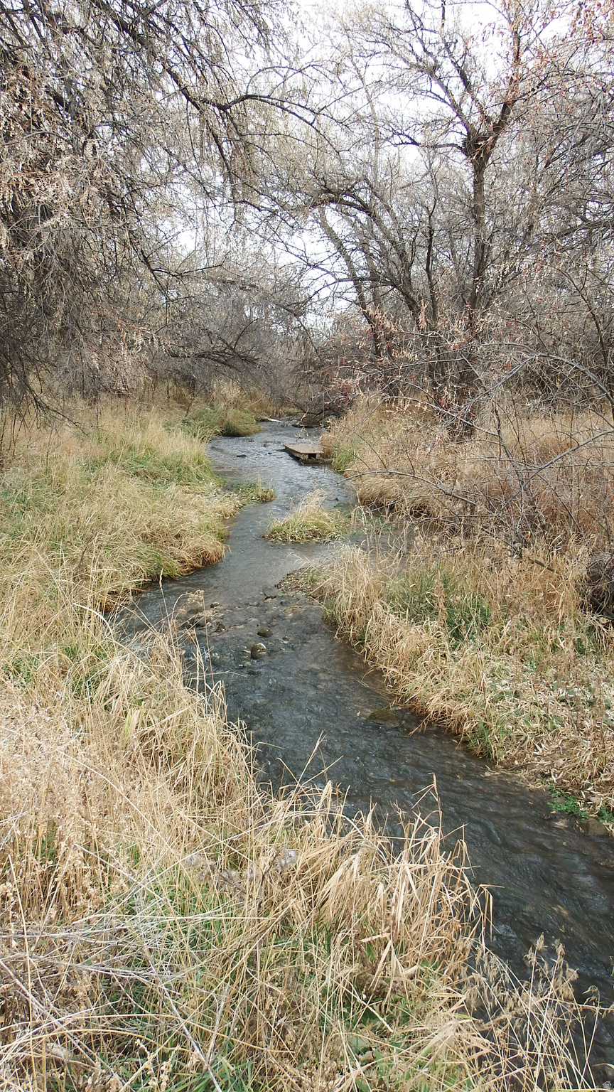 MARCELLA MEADOWS - Land