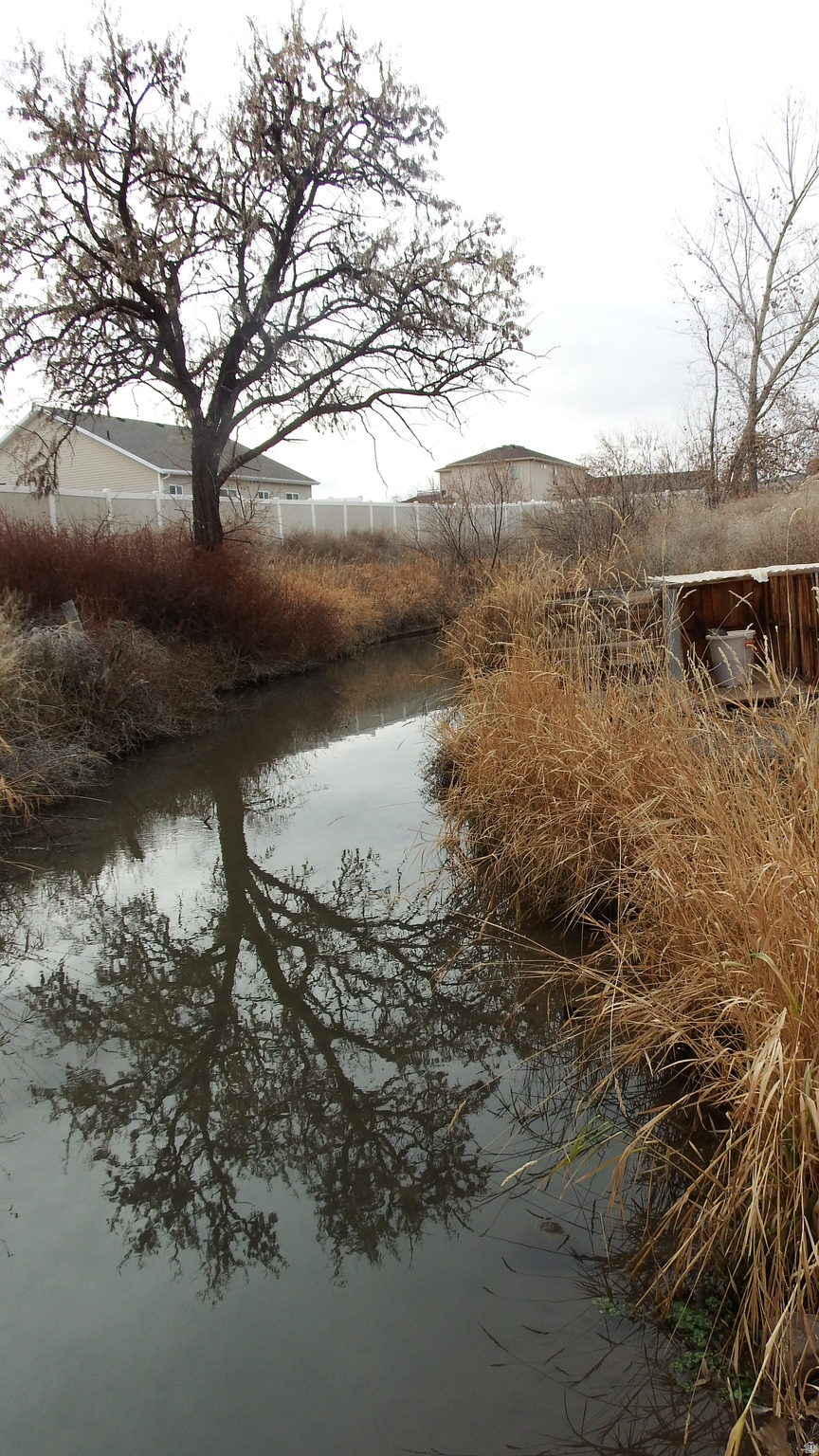 MARCELLA MEADOWS - Land